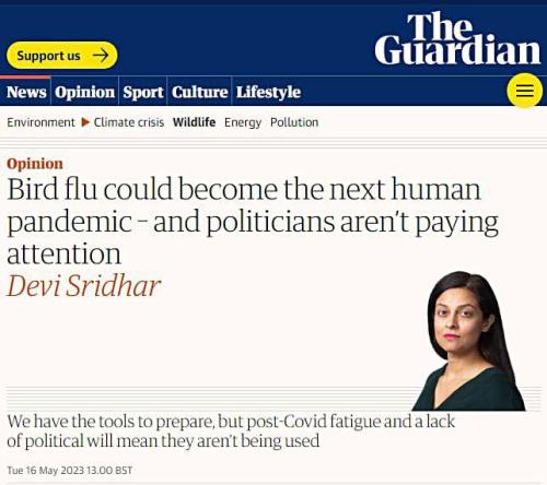 IMG_20230517_110040_642