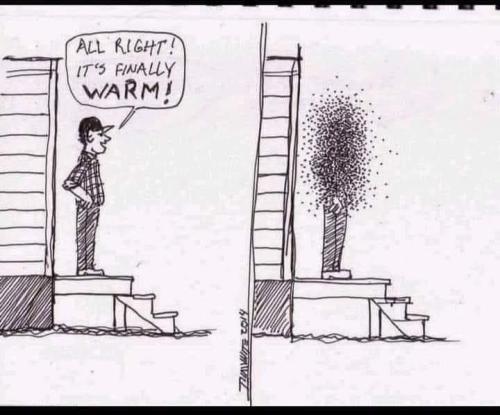 finally warm