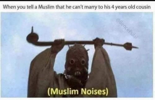 FB_IMG_1685467244264