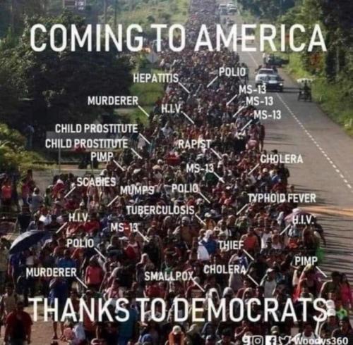 img - 2023-05-20T000929.329