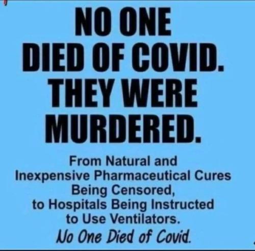 FB_IMG_1683813038041