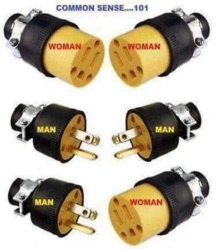electric pluhs
