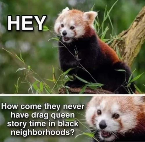 FB_IMG_1684261553070