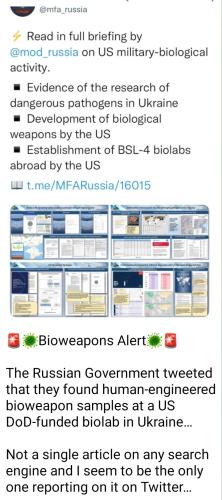 Screenshot_20230526_224030_Telegram