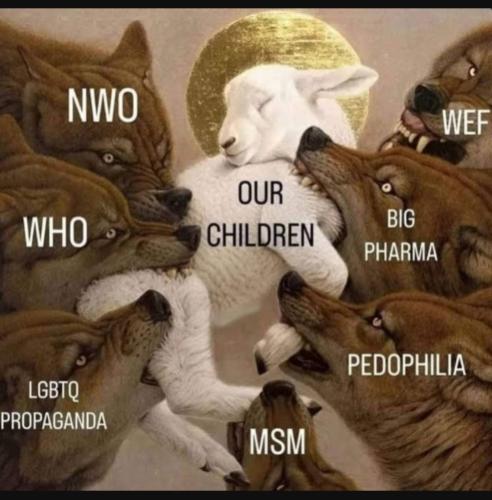 Screenshot_20230520_091054_YouTube