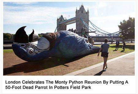 dead parrot