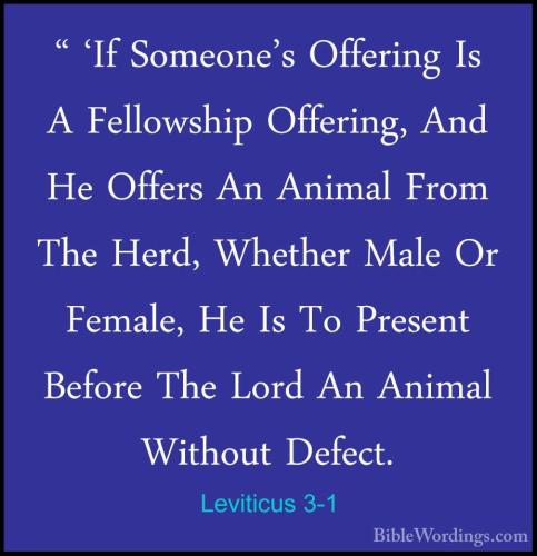Leviticus 3_1