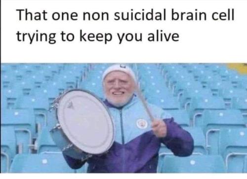 1684901807.982892