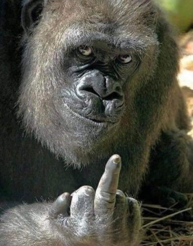 FB_IMG_1684511887022