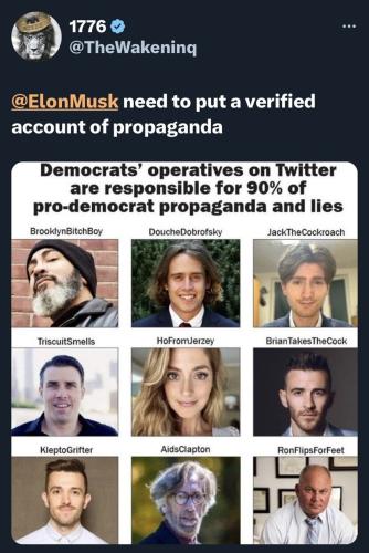 Musk 1