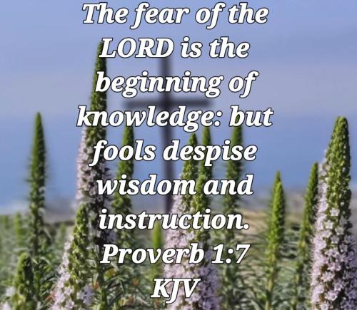 02:12:34 GMT-0700 (PDT)