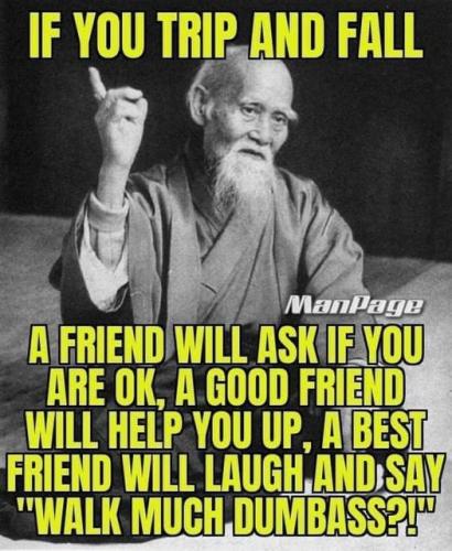 344850998_248348341026983_4467348562048397003_n