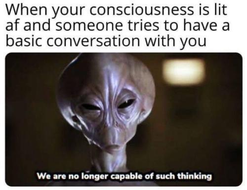 1685397627.0271878