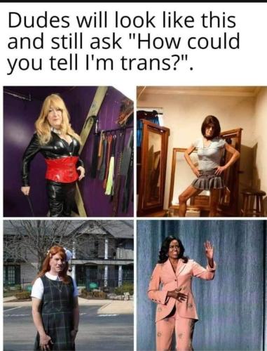 Trans 1