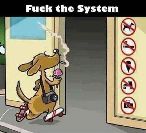 received_612475550810619