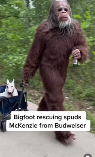 FB_IMG_1683140466539