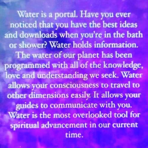 51cCp52jAWL._AC_AC_SR98,95_