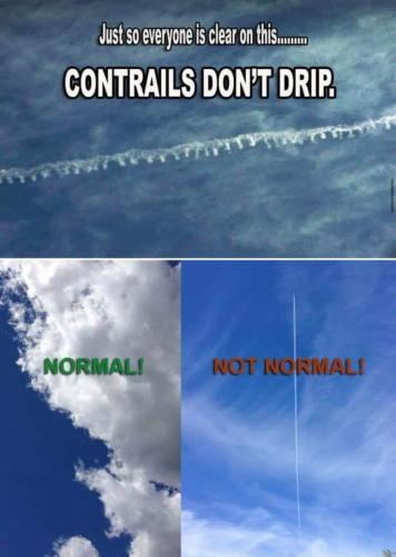 contrails do not drip