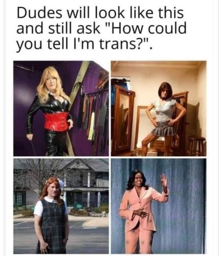 FB_IMG_1685287832579