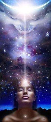 51cCp52jAWL._AC_AC_SR98,95_