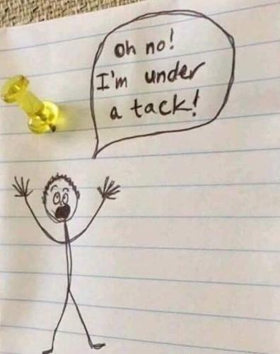 345057374_766601581575869_2993678385984496751_n