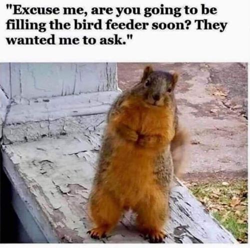 FB_IMG_1683735570709