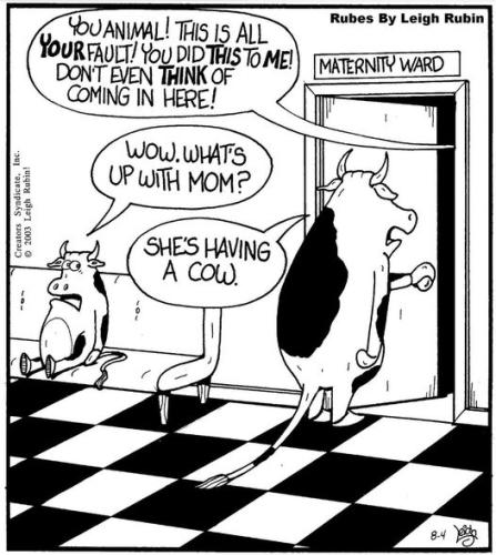 347631008_1227307104654861_5829874560874320679_n