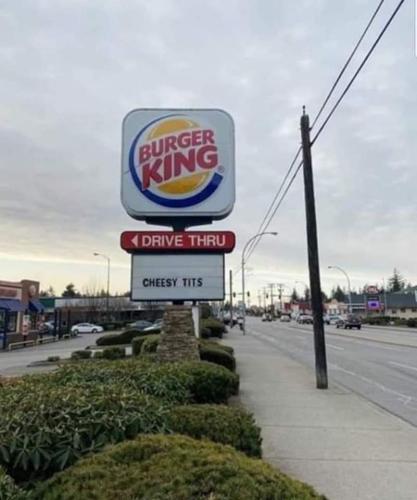 FB_IMG_1684685541782