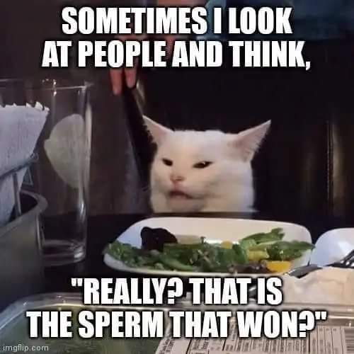 349104934_954741439103719_932187800076145487_n