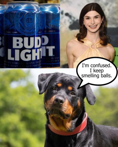 Dylan Mulvaney I'm confused I keep smelling balls