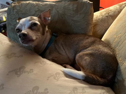 A92321A6-C5D5-4BF6-9B56-8A2488DDD4ED