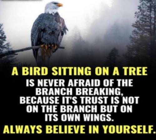 Screenshot_20230501_120329_YouTube