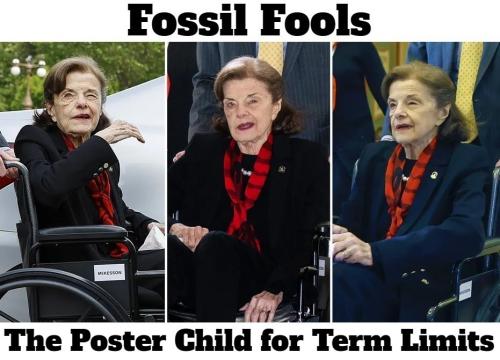 Fossil Fools Poster Child for Term Limits