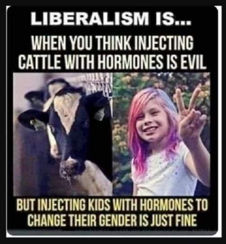 FB_IMG_1683136116044