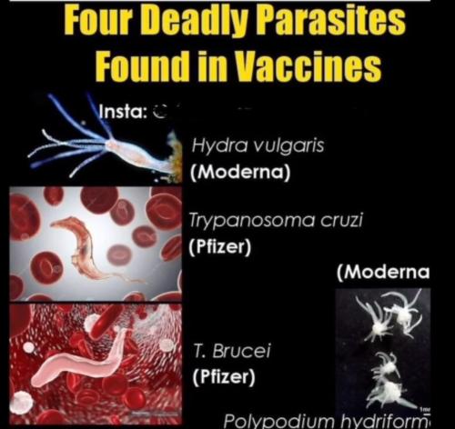 Screenshot_20230515_213405_Rumble