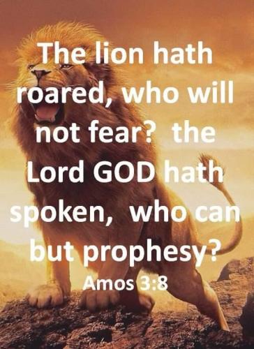 1fcfa8d8-9d72-4de3-9ce2-a9a2638e36b1