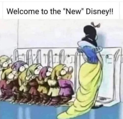 343825993_6769458139748165_5245233410950075219_n