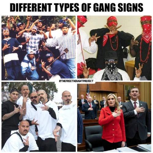 342987270_742528807575689_6025328183347375173_n