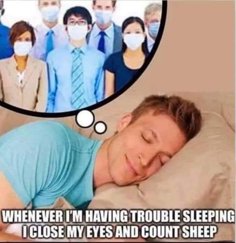 FB_IMG_1684261579095