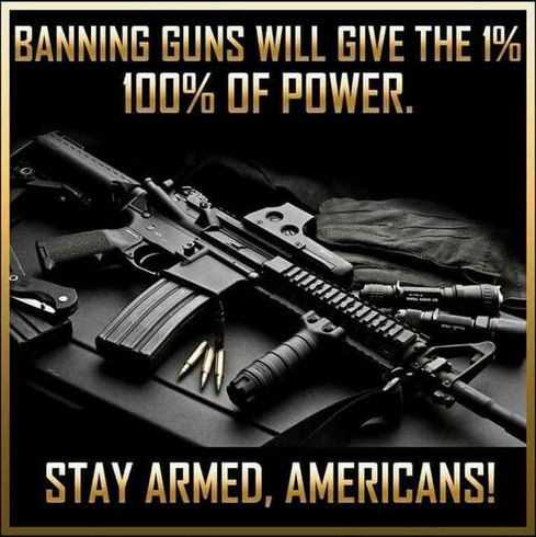 banning guns will give the one percent01