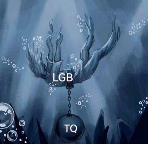 Screenshot_20230513_223756_Quora