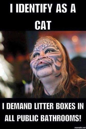 FB_IMG_1684190555000