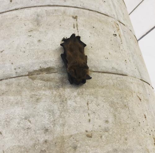 14:50:08 GMT-0500 (Central Daylight Time).image