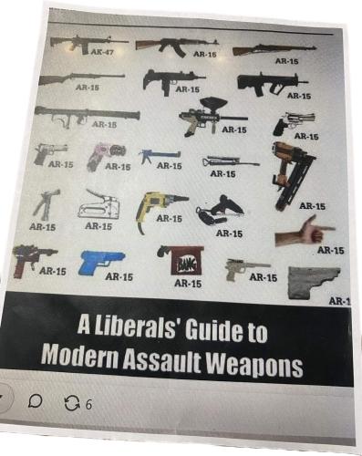 a liberals guide