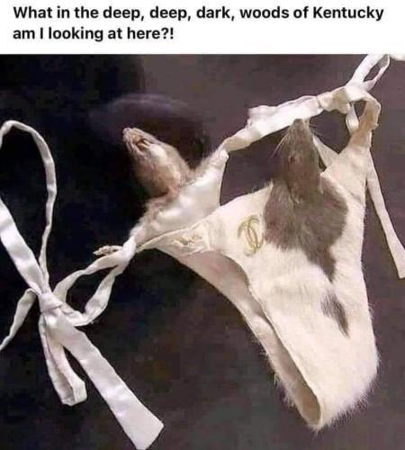 FB_IMG_1685122569481