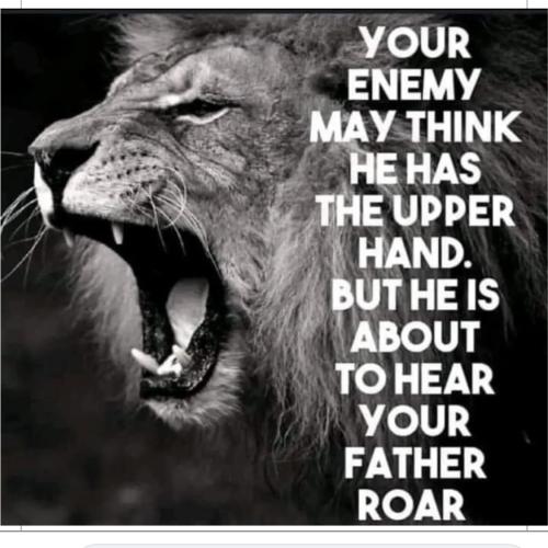 08:41:29 GMT+1200 (New Zealand Standard Time).image