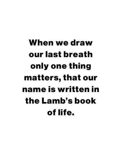 b76a16d7-8613-4325-8b76-08a3643571ae