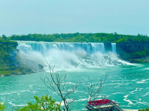 0BF1CA6A-91DE-46A9-81CF-FFF1AC7F1D26