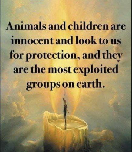 Screenshot_20230512_200845_Chrome