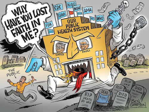 Public health system